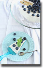 Blueberry-Cake