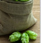 Hops for Sleep and Anxiety