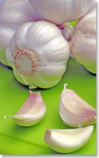 garlic