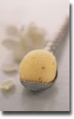 oconut-Almond-Sorbet